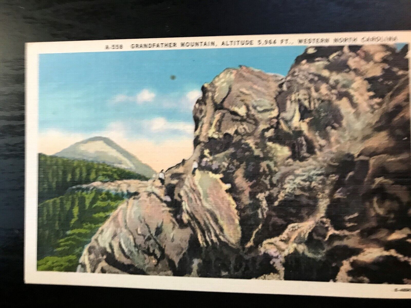 Vintage Postcard 1930-1945 Grandfather Mountain Linville, W. North Carolina (NC)