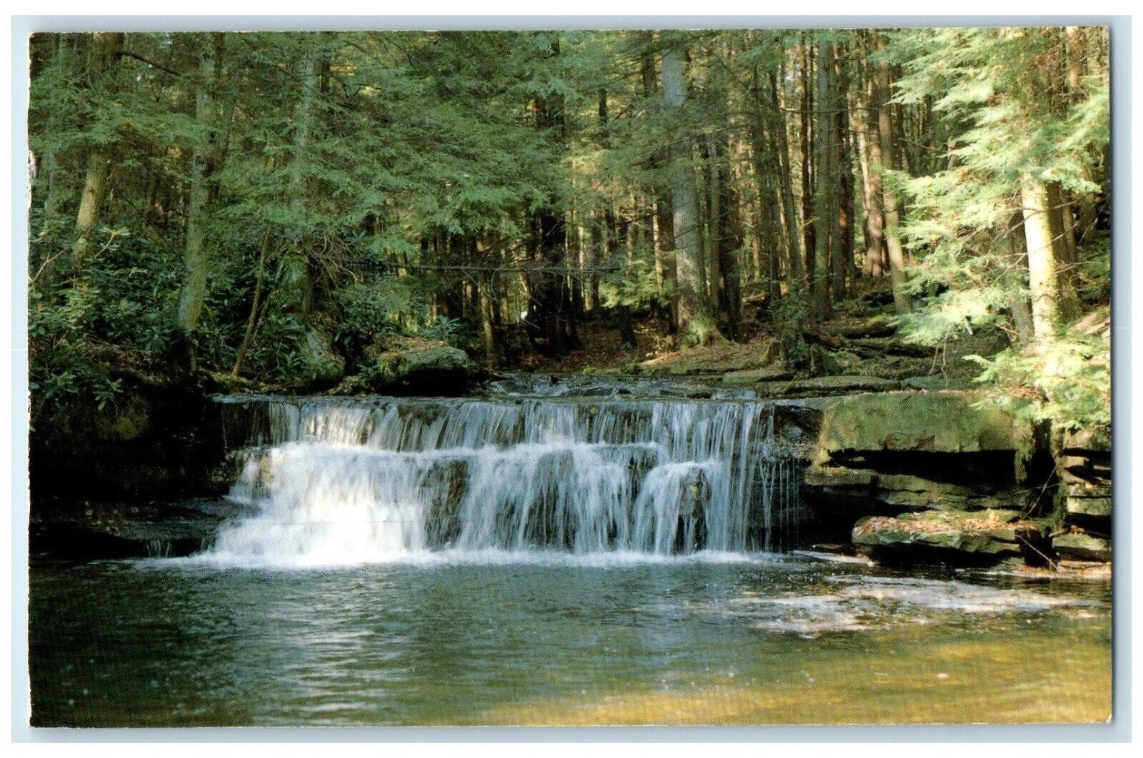2003 Tolliver Falls In Swallow Falls State Park Frederick MD Waterfalls Postcard