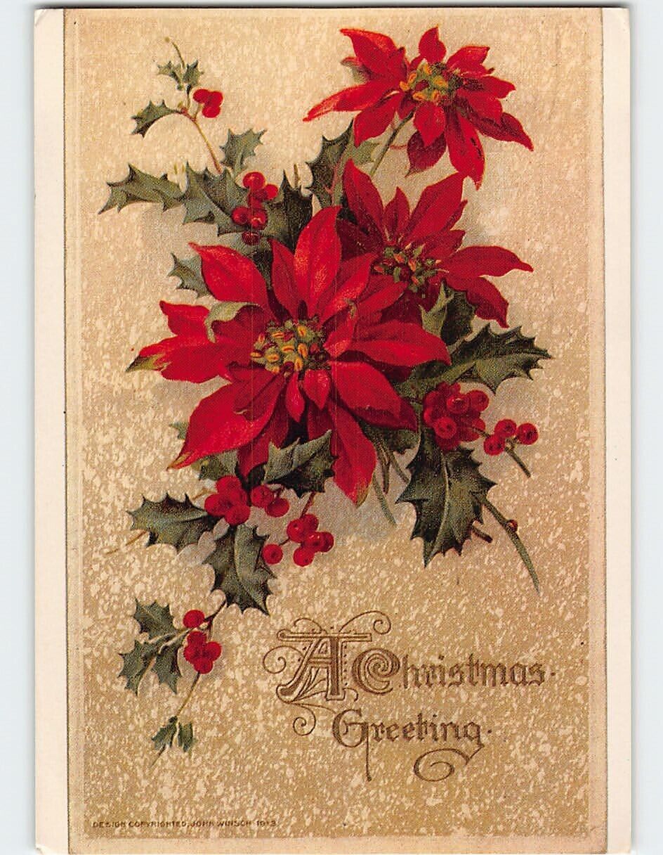Postcard Poinsettia Holiday Print A Christmas Greeting