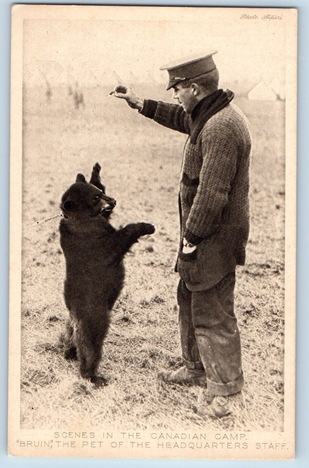Canada Postcard Scene in Canadian Camp Bruin The Pet c1920's Tuck Art WW1