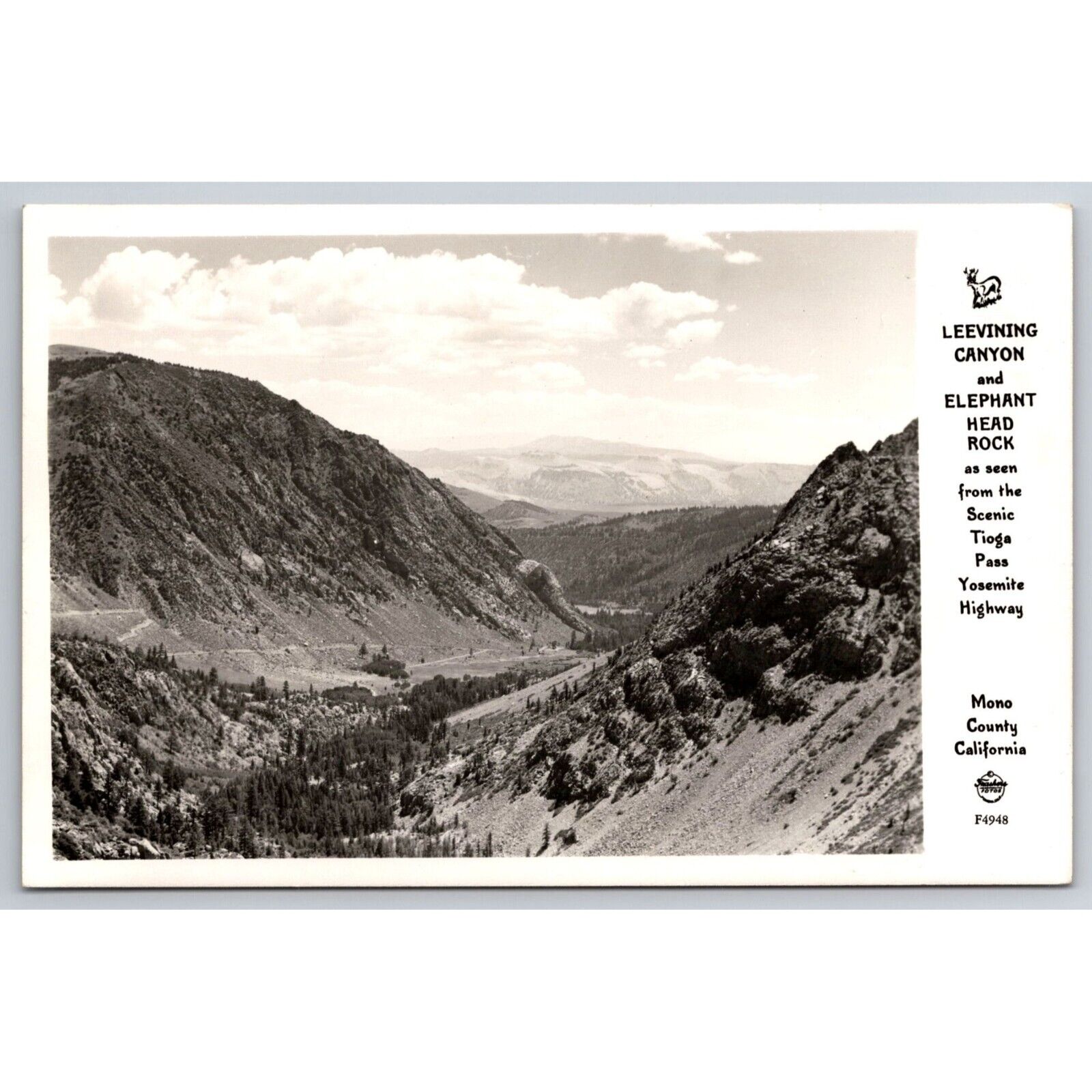 Postcard Vintage Leevining Canyon and Elephant Head Rock Tioga Pass Yosemite Hwy