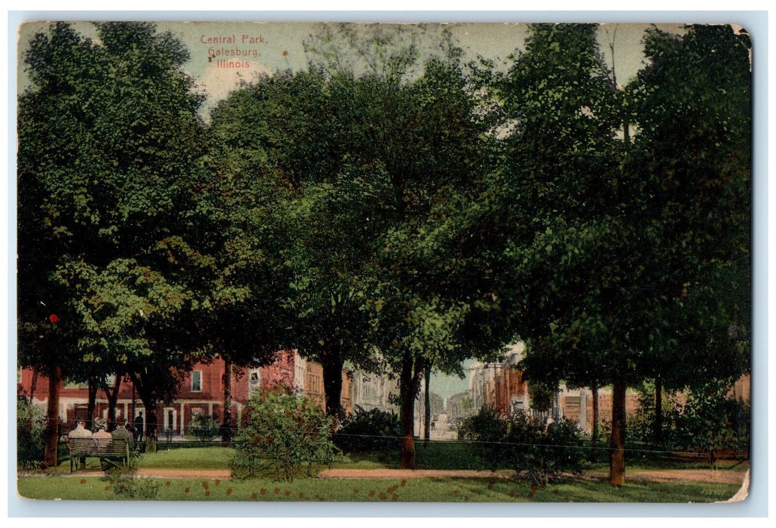 c1910s Central Park Trees Scene Galesburg Illinois IL Unposted Vintage Postcard