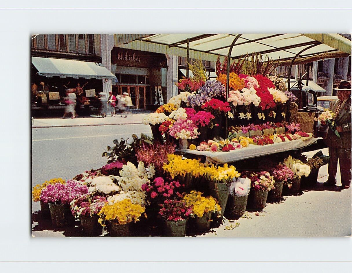 Postcard Sidewalk Flower Stands, San Francisco, California