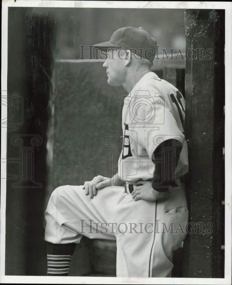 1952 Press Photo Detroit Tigers manager Robert Rolfe - afx19870