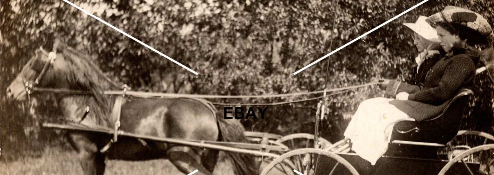 VTG OOAK RPPC Postcard Women Horse Buggy Wagon BW