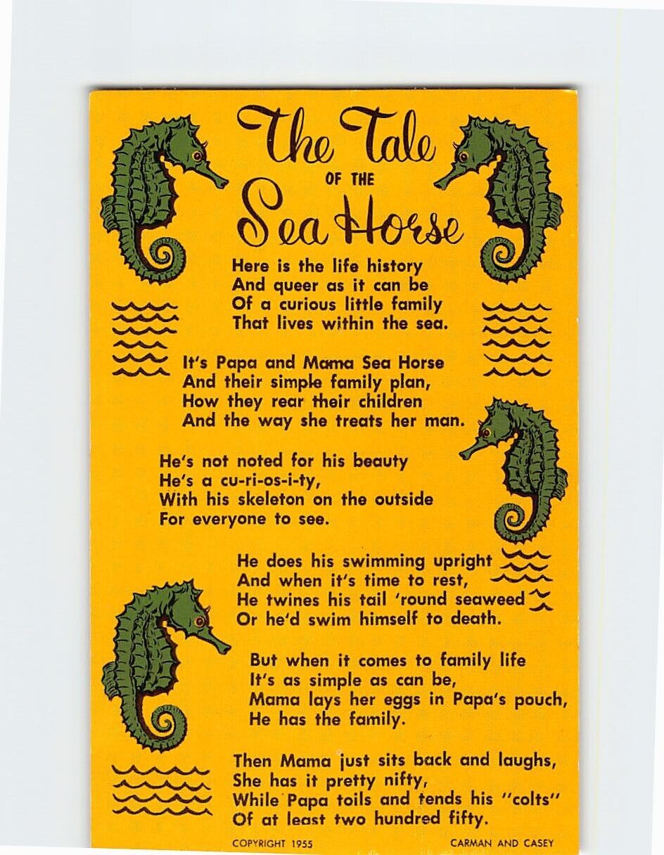 Postcard The Tale of the Sea Horse