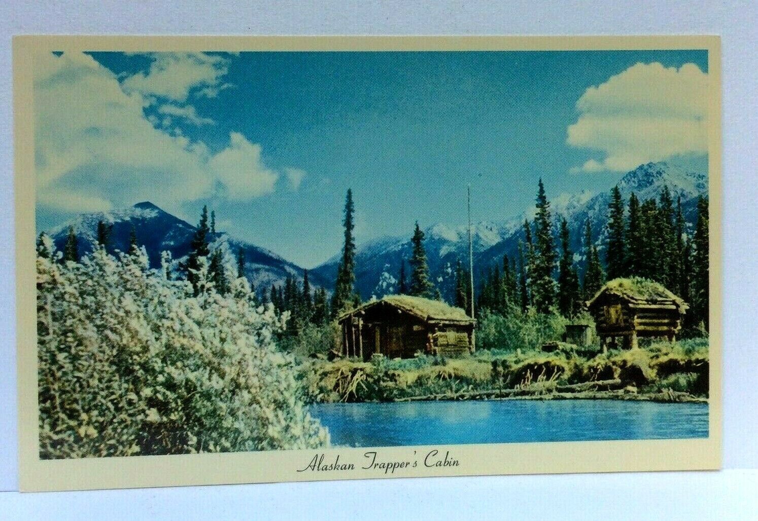 Alaska AK Trappers Cabin Scenic View Vintage Postcard