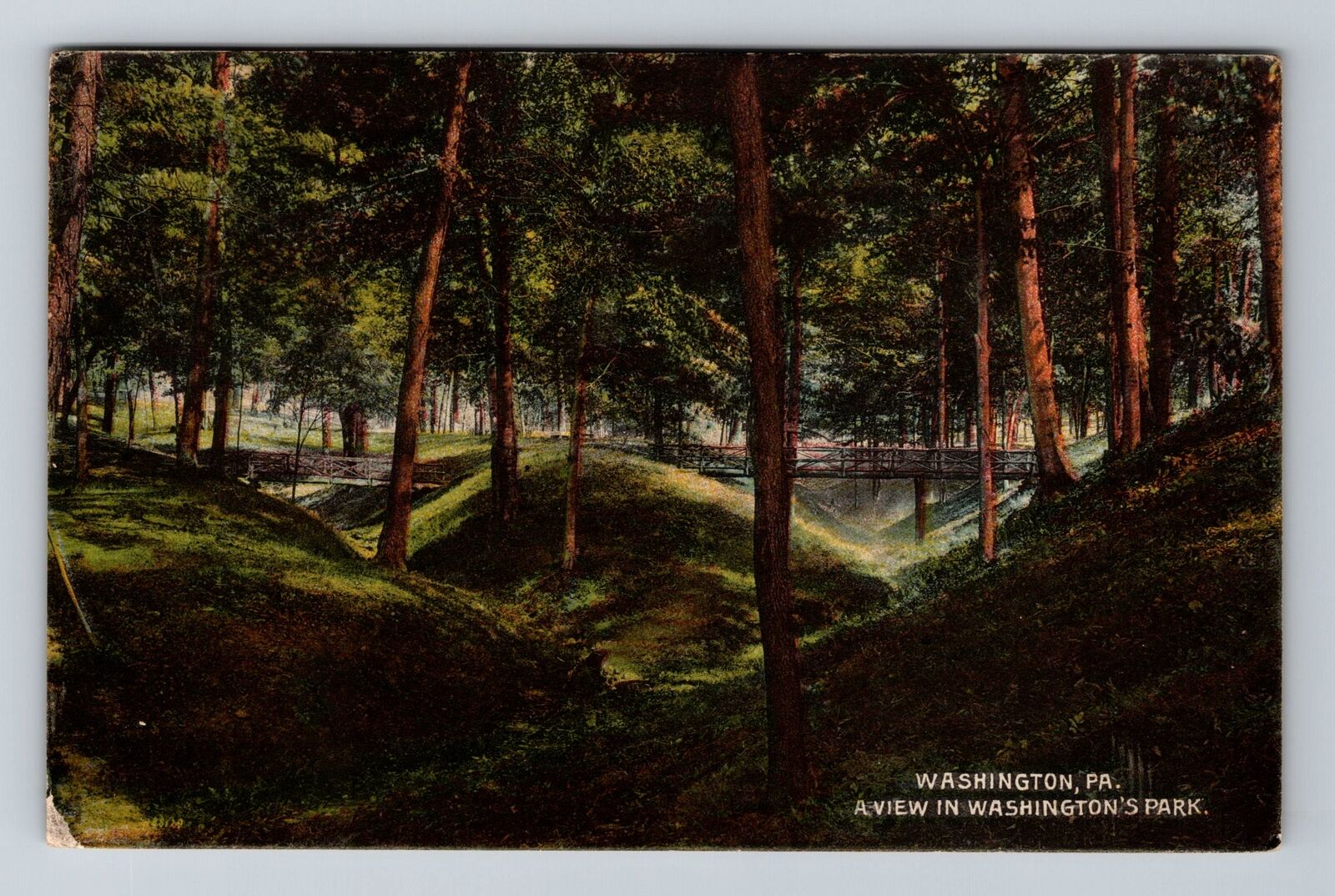 Washington PA-Pennsylvania, A view in Washington\'s Park, Vintage Postcard