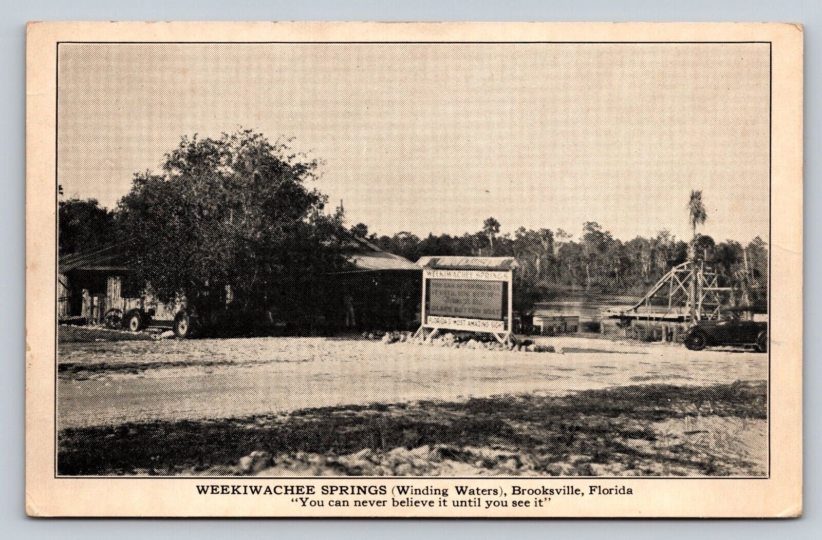 Vintage Advertising Postcard Weekiwachee Springs Winding Waters Brooksville FL