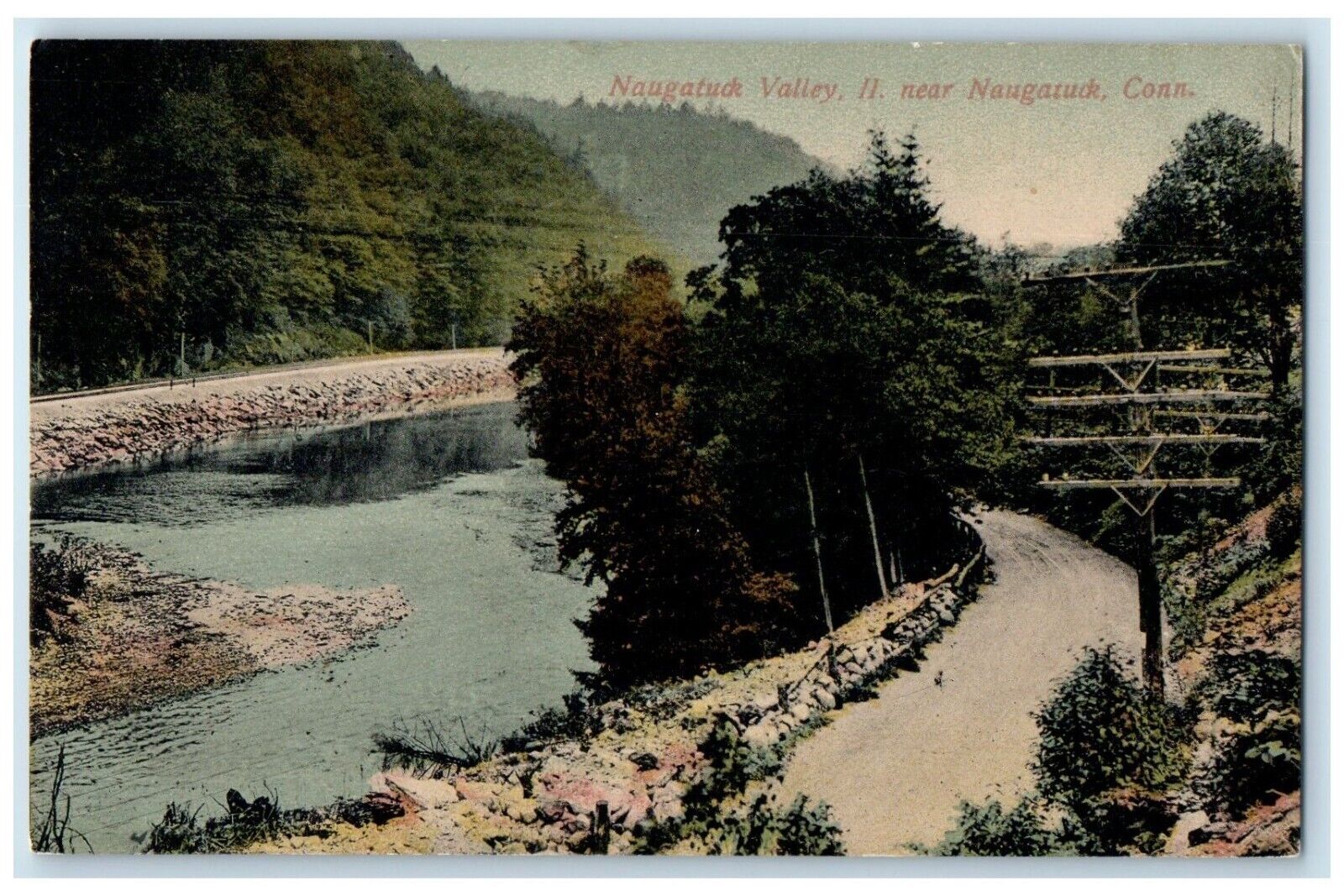 1910 Naugatuck Valley River Trees Road Naugatuck Connecticut CT Antique Postcard