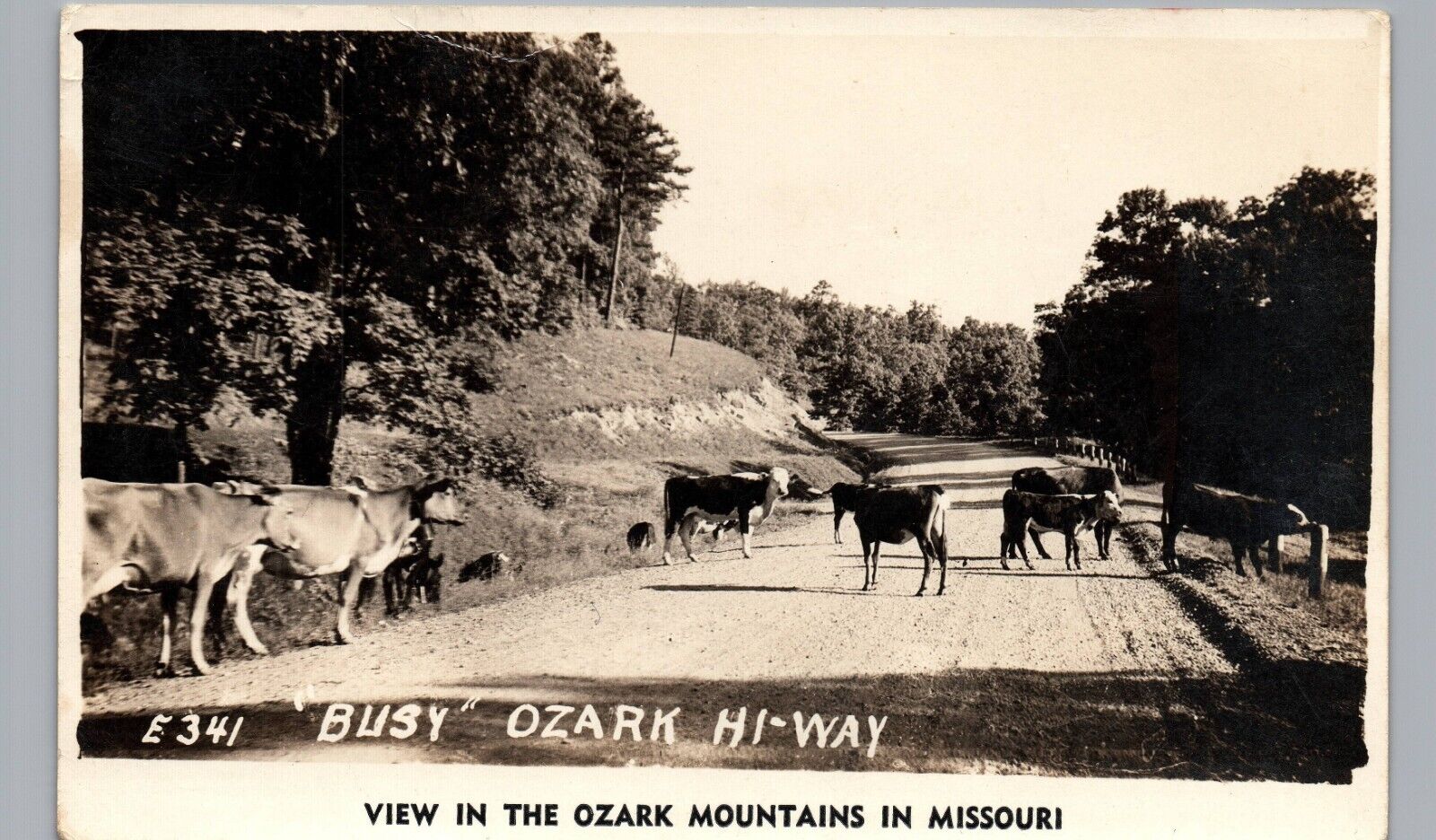 BUSY MISSOURI OZARKS HI-WAY 1940s real photo postcard rppc mo farm cows in road