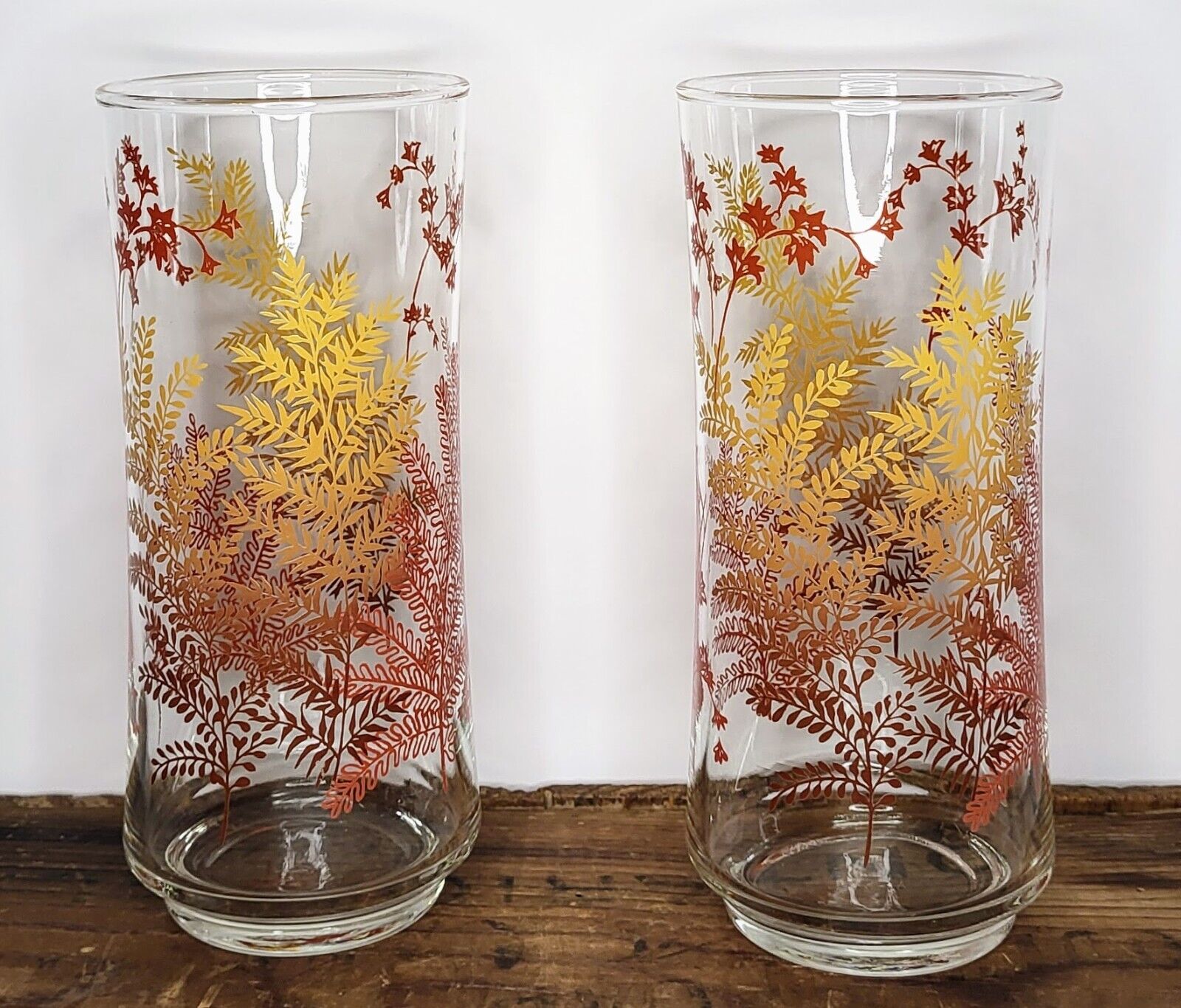 Vintage Set of 2 Libbey Glass Tumblers Fern Leaves Autumn Colors Fall Juice 6.5\