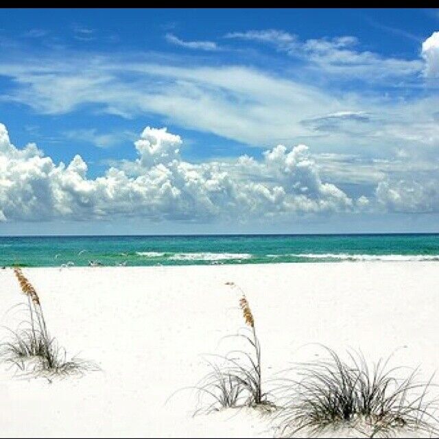 20lbs Treasure Island Florida Beach Sand Beautiful White Quartz Crystal