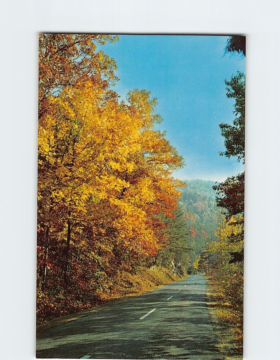Postcard Beautiful Fall Colors Along a Mountain Road in Western North Carolina