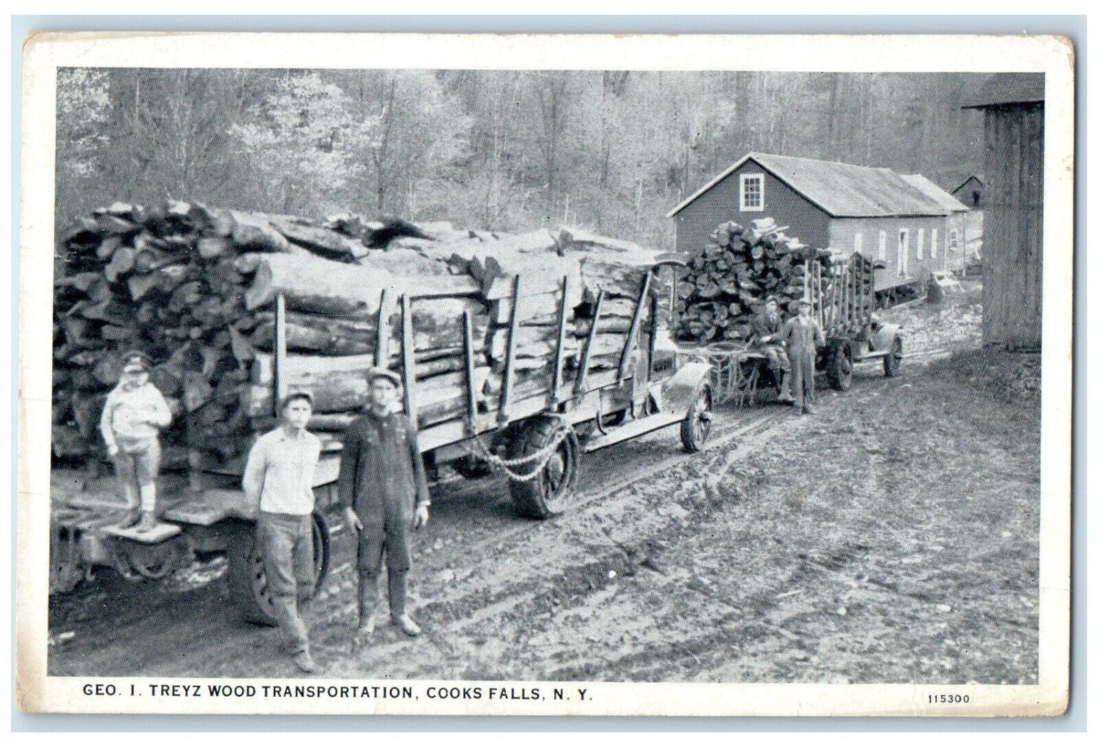 c1930\'s Geo I. Treyz Wood Transporation Cooks Falls New York NY Vintage Postcard
