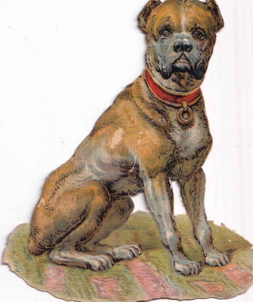 1800s Victorian Die Cut Scrap -Awesome Bull Mastiff Dog  3.5 inches