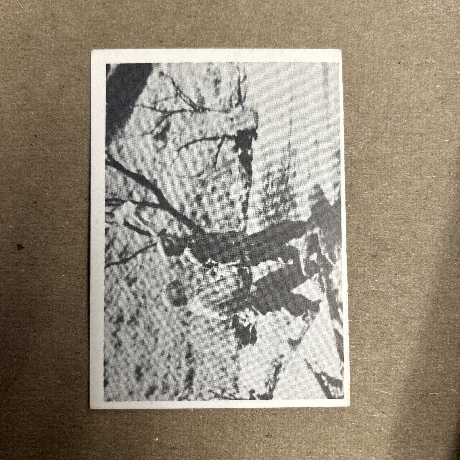 1963 Selmur Combat Series II Card #125