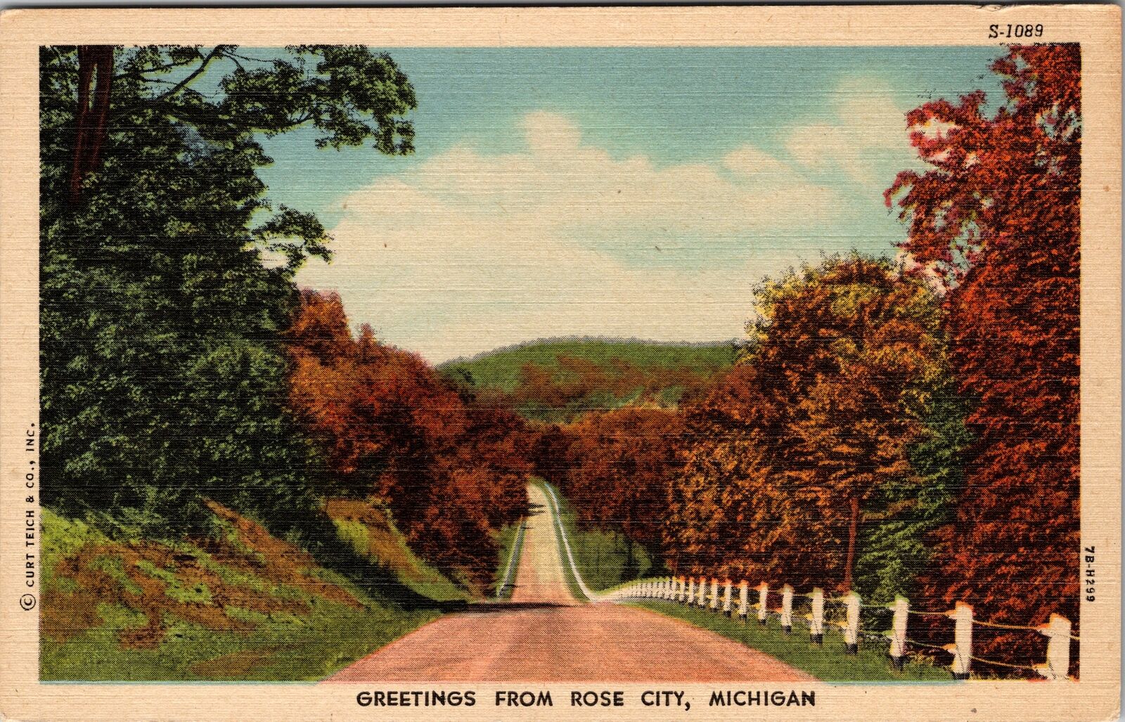 Rose City MI-Michigan, Scenic Greetings, Road View, Vintage Postcard