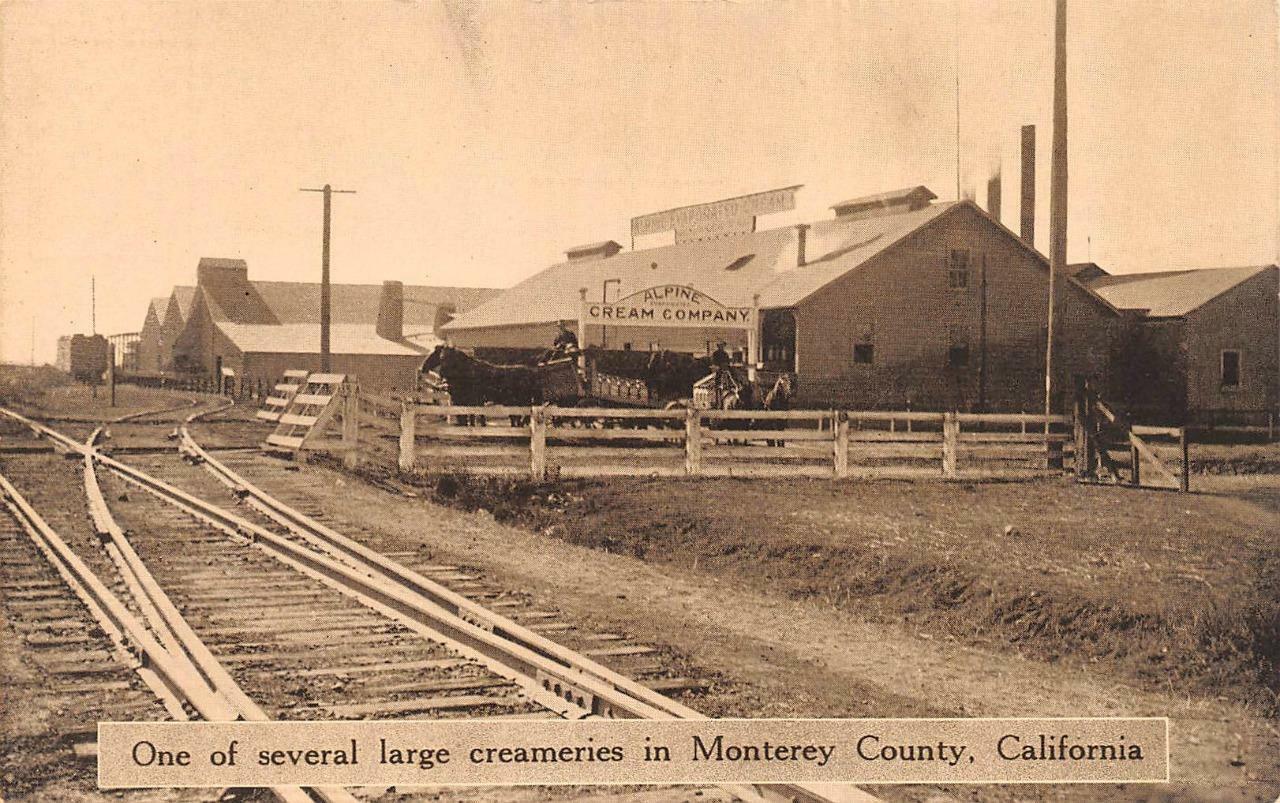 GONZALEZ, California CA ~ ALPINE CREAM COMPANY Monterey County VINTAGE Postcard