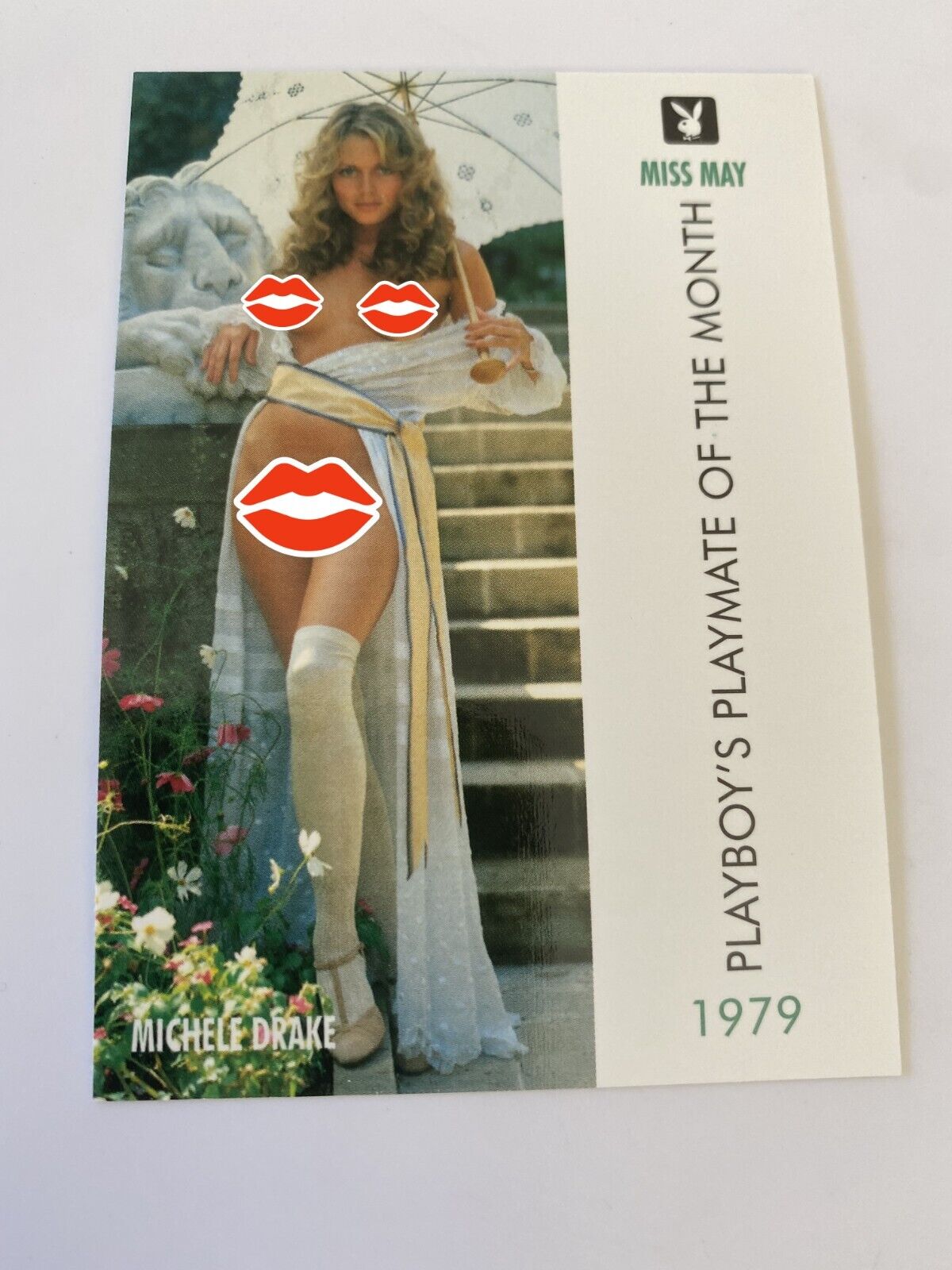 1995 Playboy Centerfold Collector Card May 1979 #78 Michele Drake