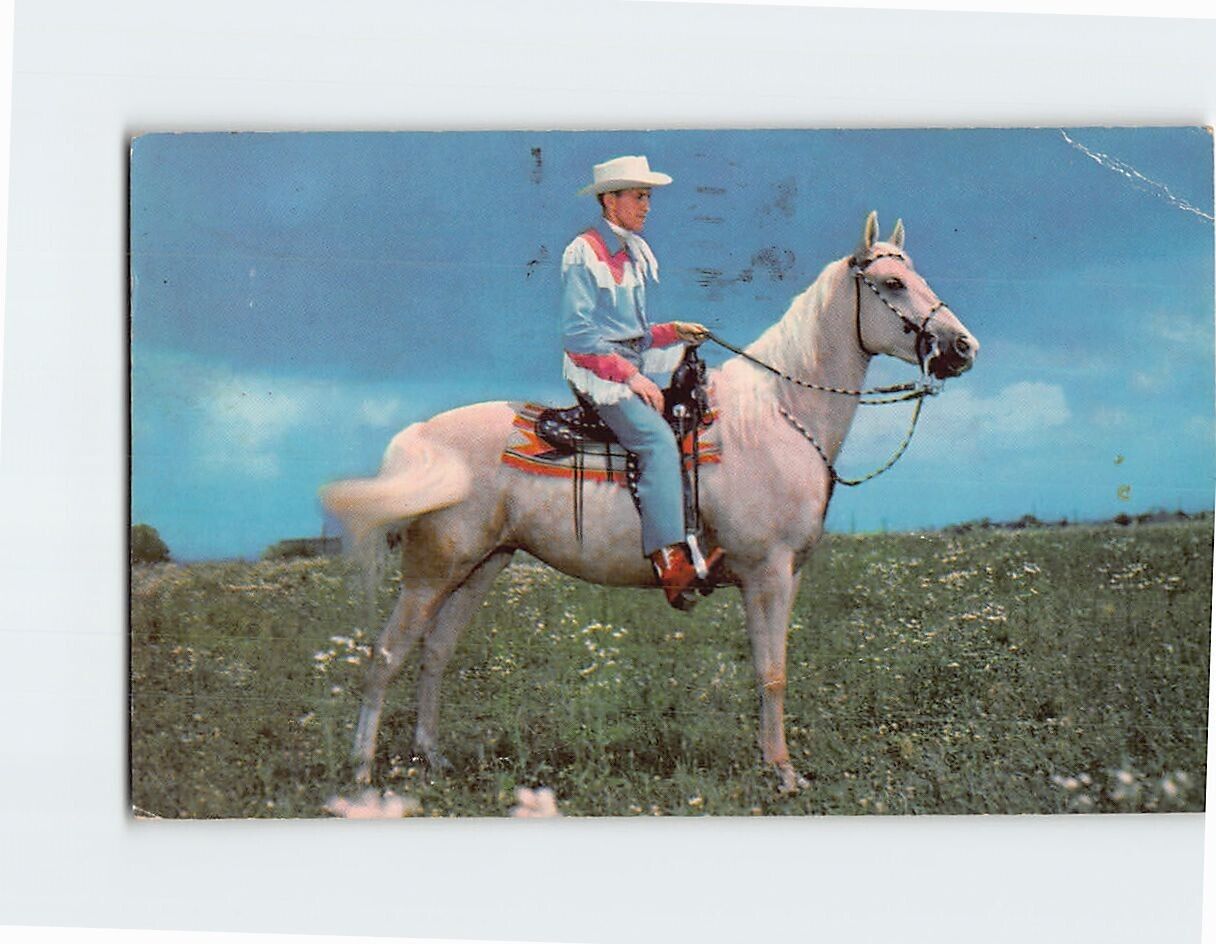 Postcard Cowboy Mounted on Horse