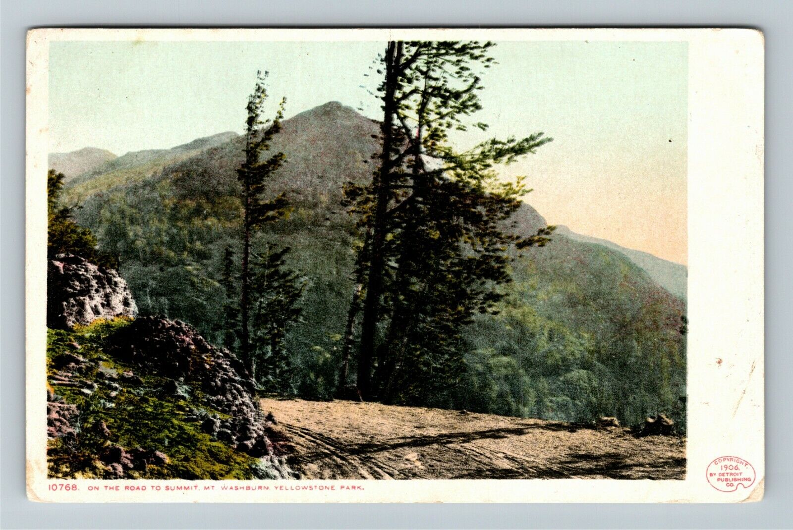 Yellowstone Park WY-Wyoming, On Road To Mt Washburn Summit Vintage Postcard