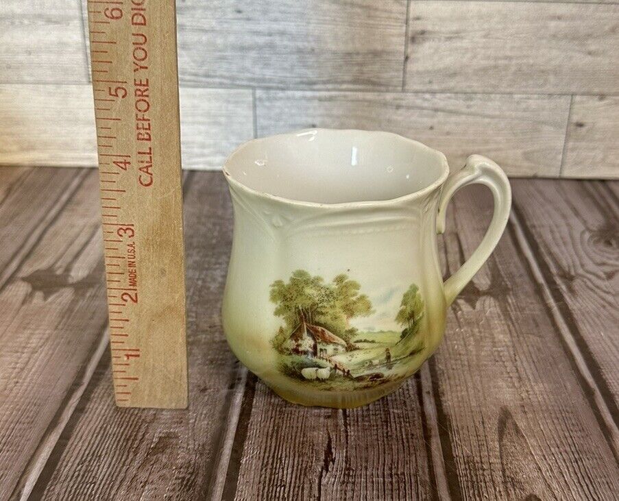 Old Thatched Stone Cottage Country Scene Germany Marked Large Cup