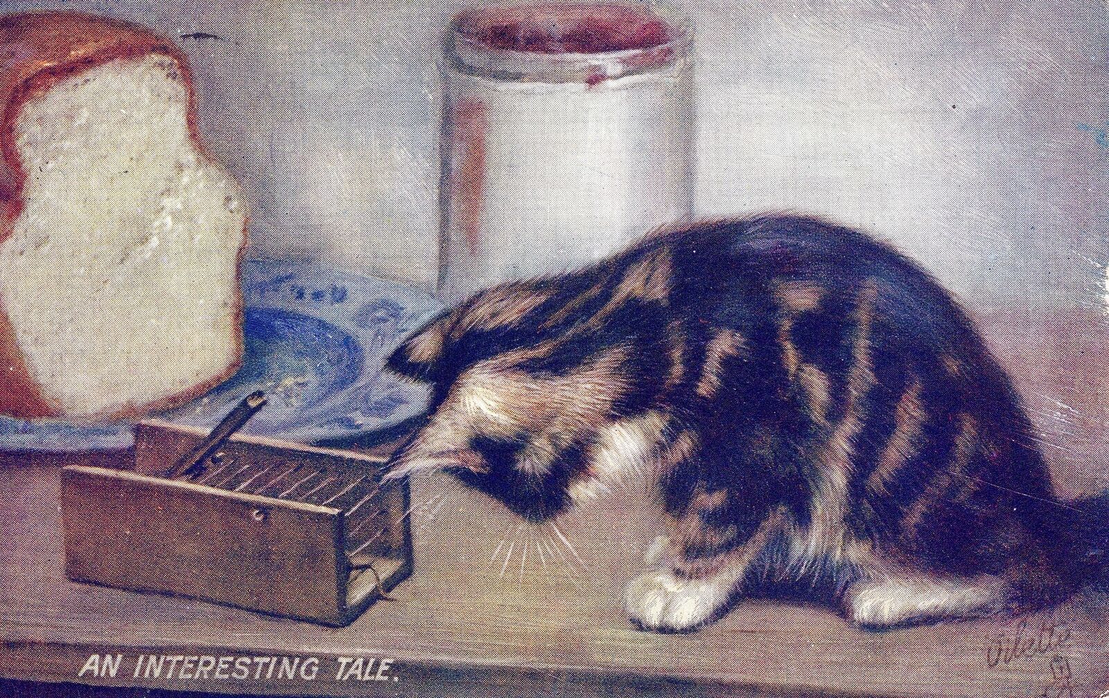 Cat An Interesting Tale Tuck Postcard - 1912