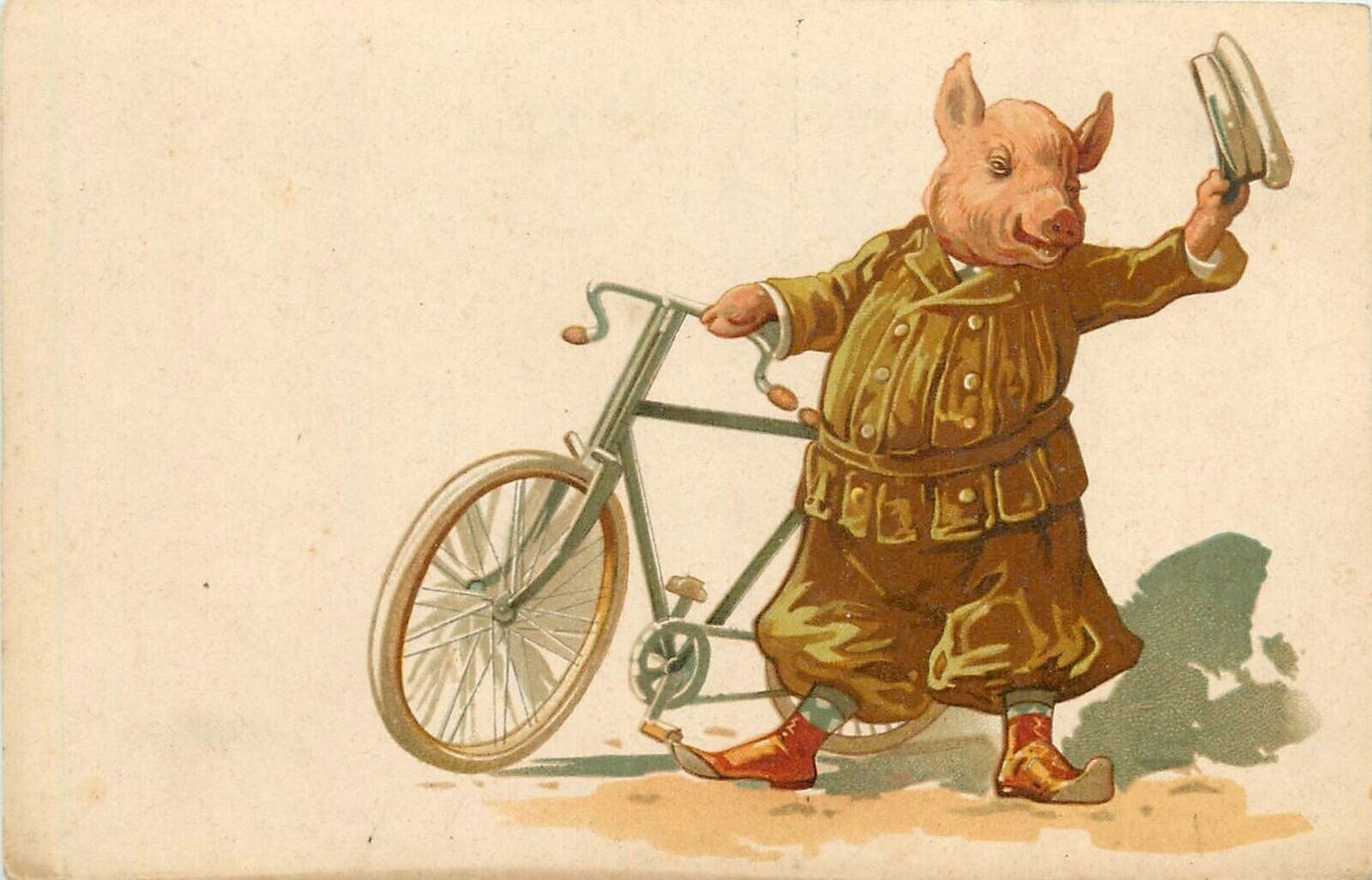 Postcard C-1910 Bicycle cycling pig comic humor undivided TP24-1036