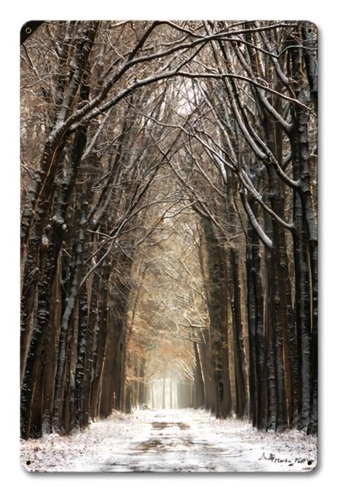 PATH IN THE SNOW TREES FOREST WOOD 18\