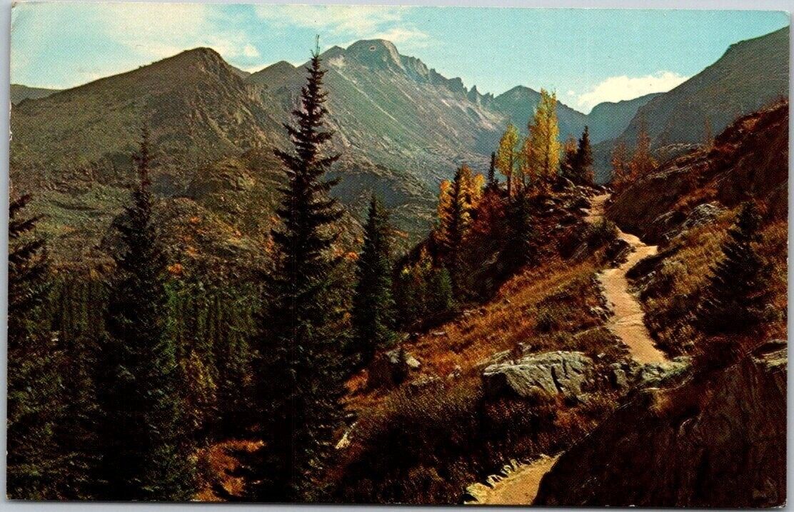 Trail to Dream Lake Rocky Mt. Nat. Park Colorado 1969 VTG Chrome Postcard B32