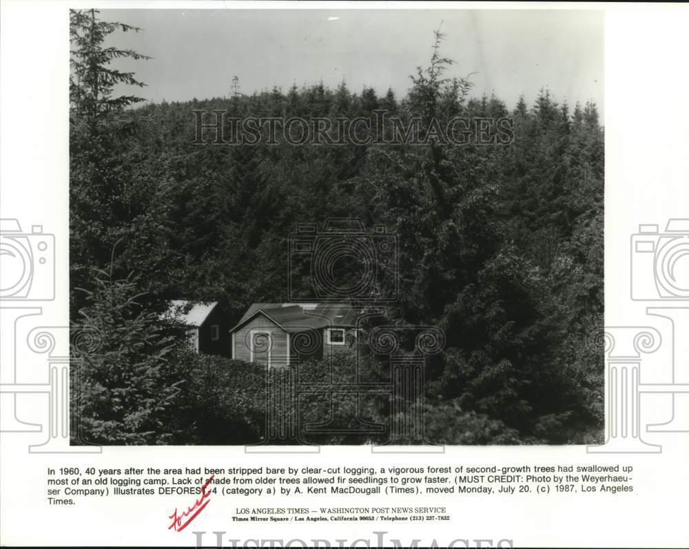 1987 Press Photo General view of an old logging camp in the middle of a forest