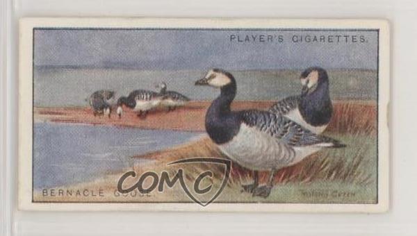 1927 Player\'s Game Birds and Wild Fowl Tobacco Bernacle Goose #16 z6d