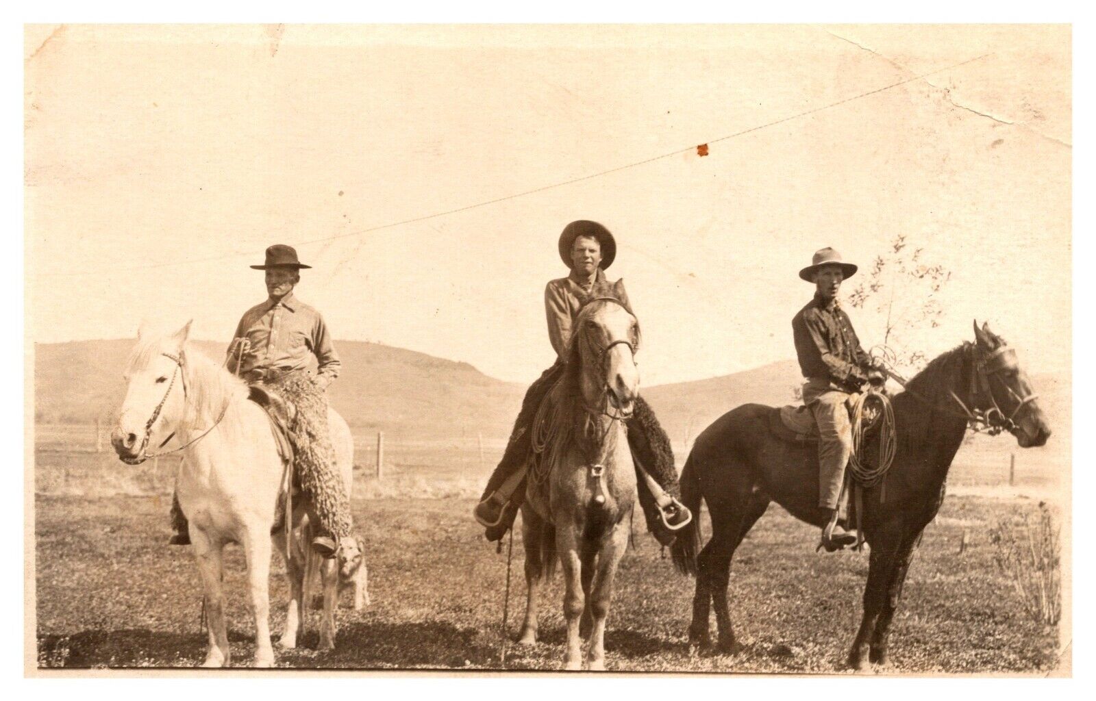 postcard Three Cowboys (John Albert and Merle) on Stoner ranch RPPC 7084