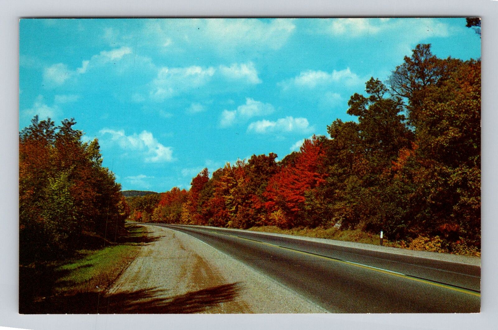 Scenic Autumn Scene, Country Trees, Antique Vintage Souvenir Postcard