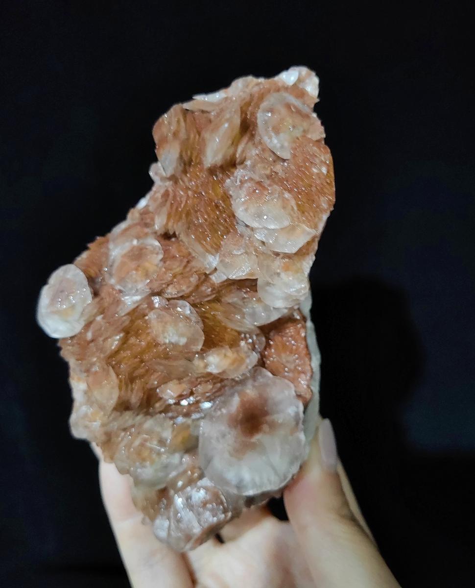 A Good Looking New Multilayered Shell-Like Orange Calcite Natural Mineral Ore