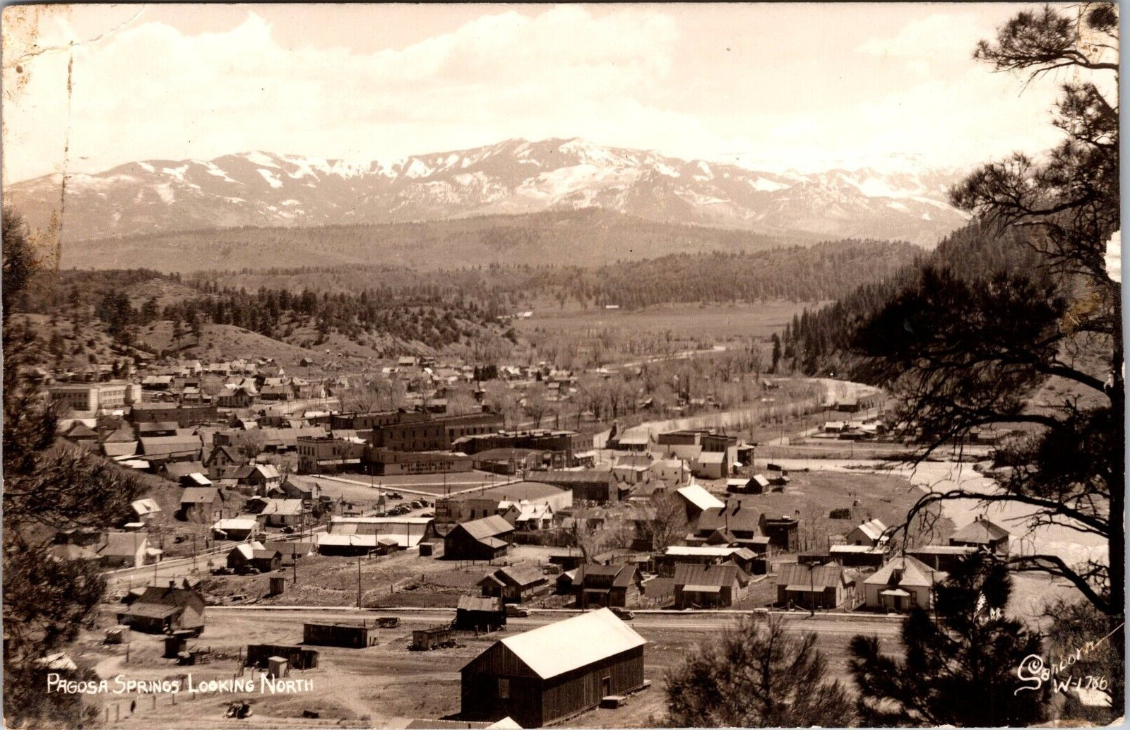 Pagosa Springs Colorado Looking North Postcard