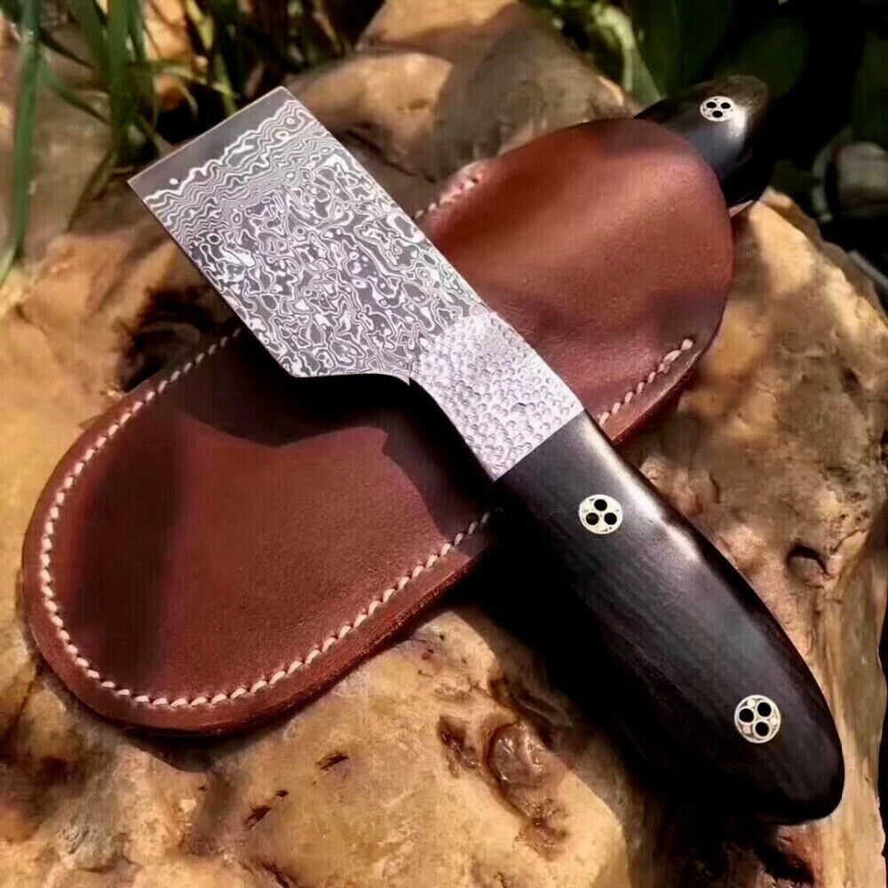 Mini Straightback Knife Hunting Combat Damascus Steel Wood Handle Collectible XS