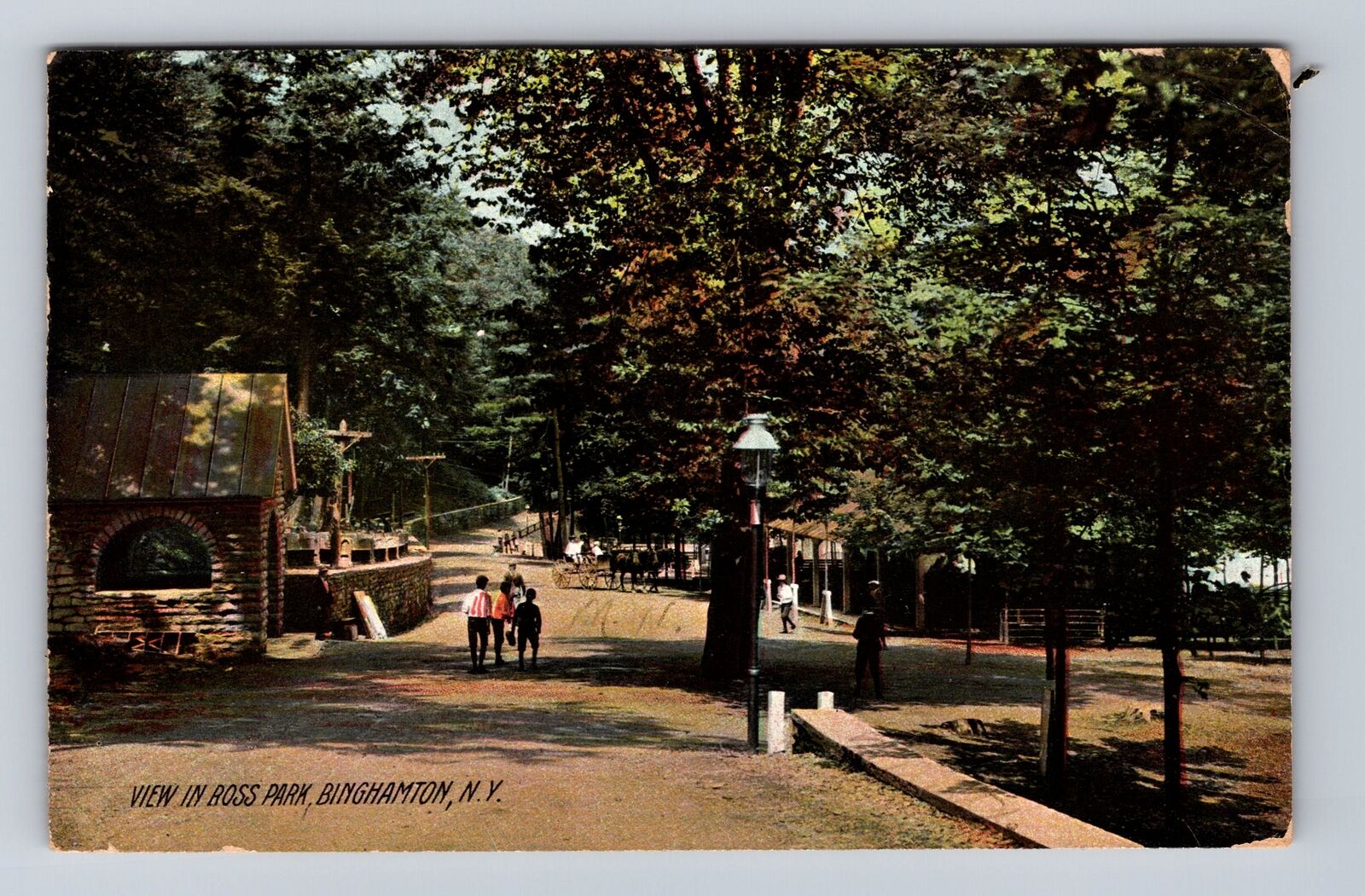 Binghamton NY-New York, View In Ross Park, Antique, Vintage c1908 Postcard