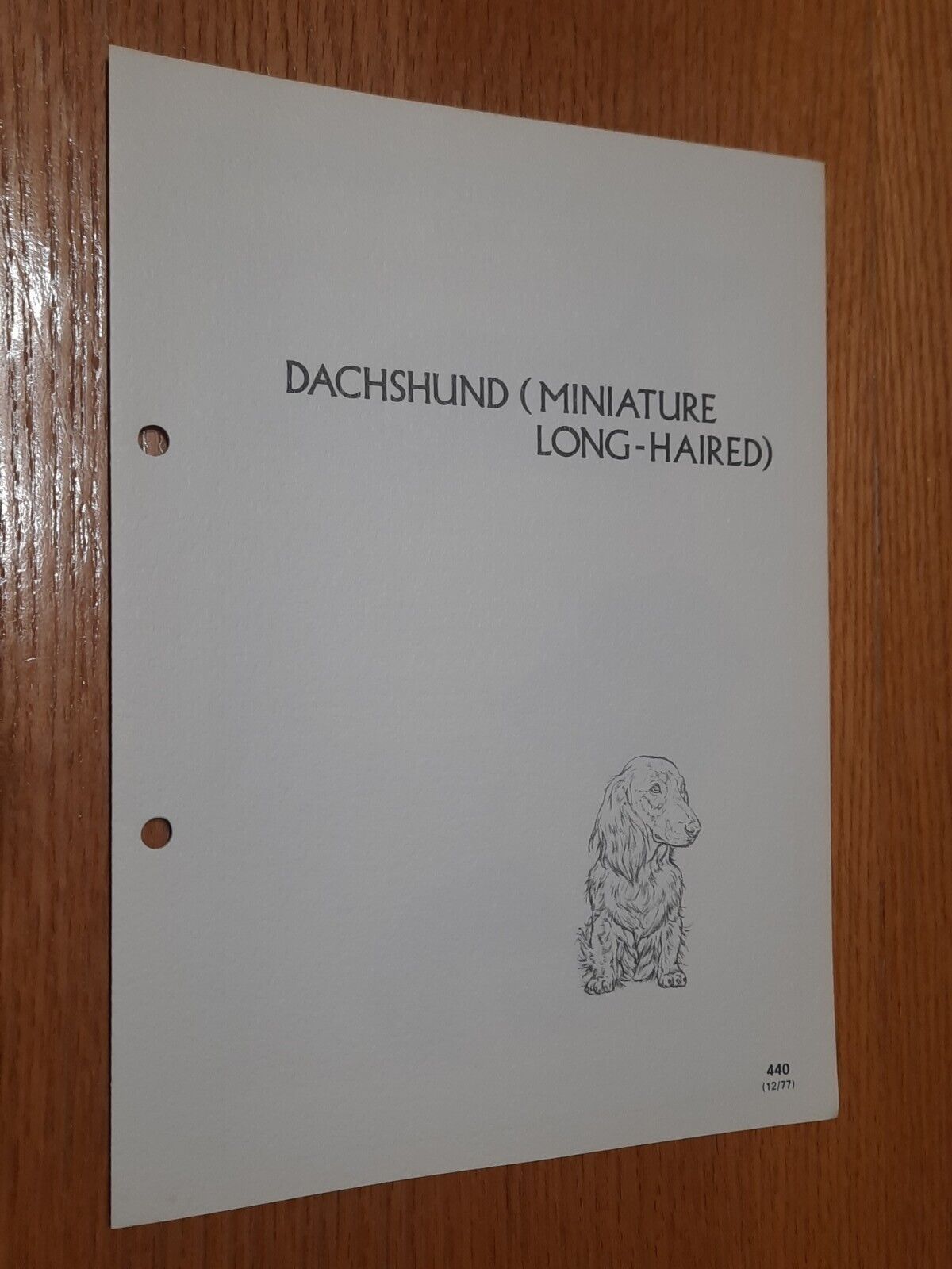 Dachshund Mini Long-Haired Breed Supplement RAS Kennel Control Hounds Group 4