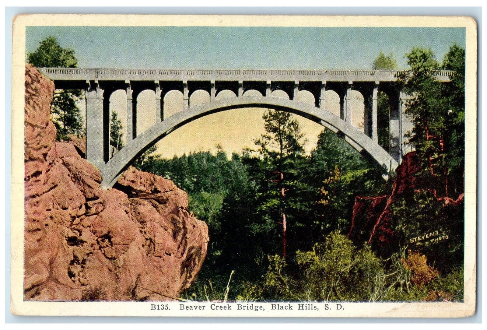 c1920's Beaver Creek Bridge Road Grove Black Hills South Dakota Vintage Postcard