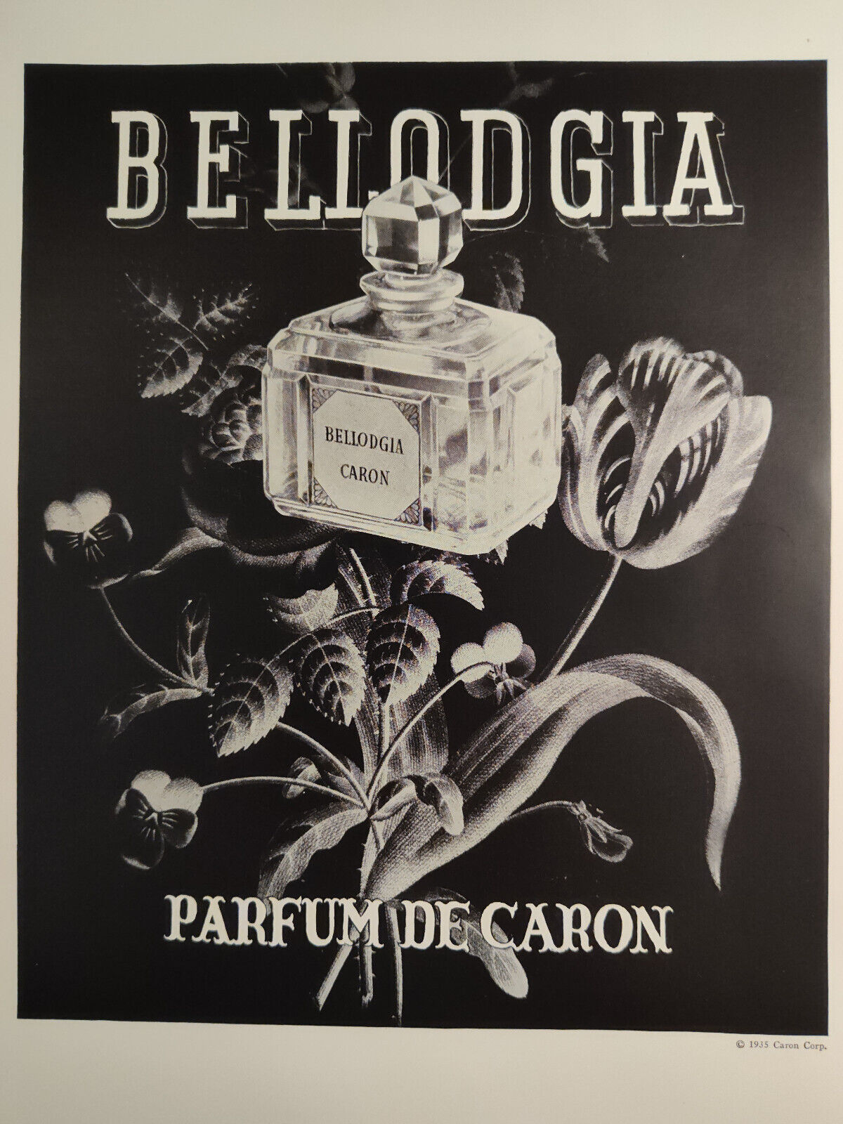 Vintage Ads Bellodgia Parfum de Caron Croco Teju Horned Lizard Leathers