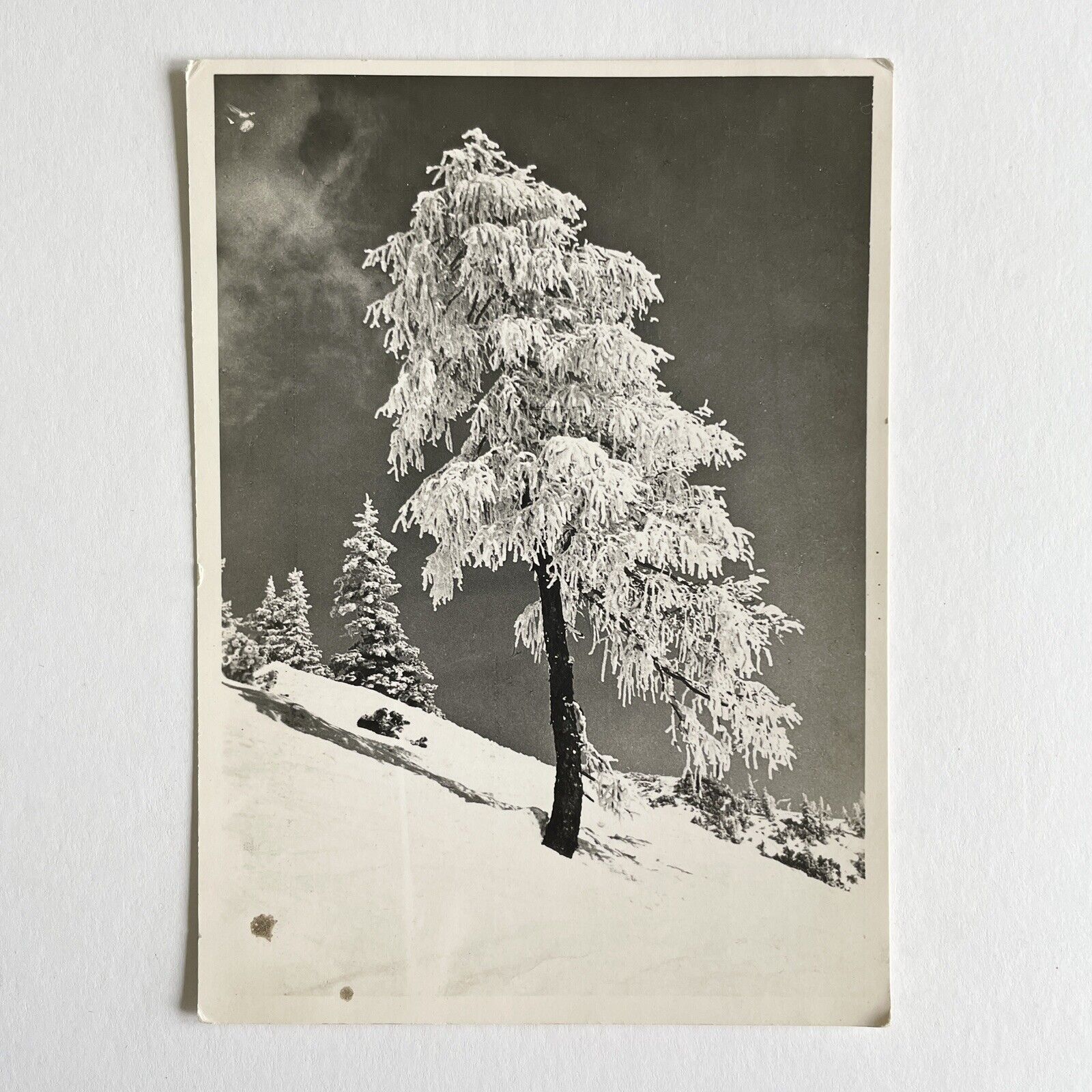 RPPC Snowy Ski Slope Alps 1950s B&W Photo Postcard ~ Bad Reichenhall, Germany
