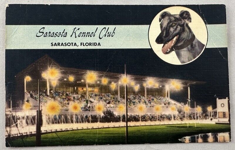 Antique Postcard 1960 Sarasota Kennel Club Florida Greyhound Dog Racing
