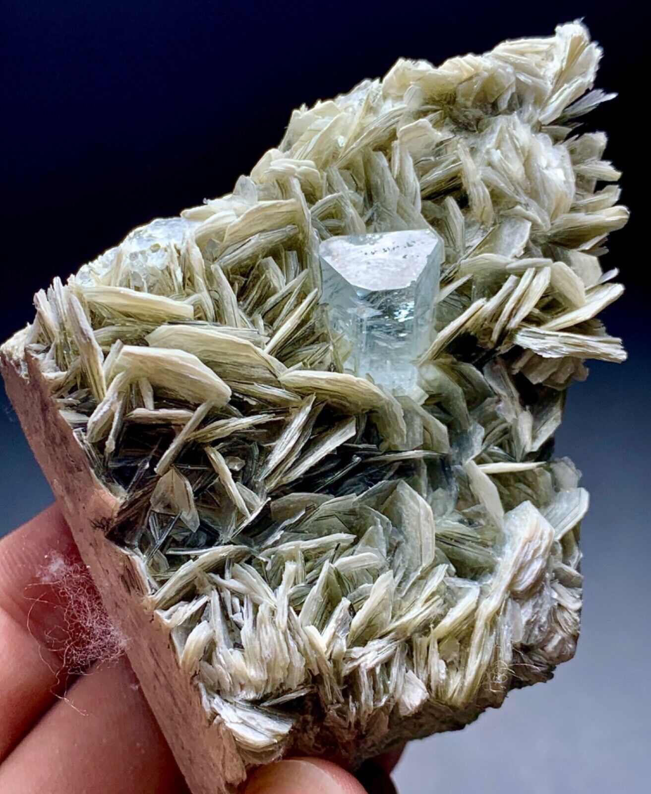 210 Gram Terminated Aquamarine Crystal With Mica From Skardu Pakistan