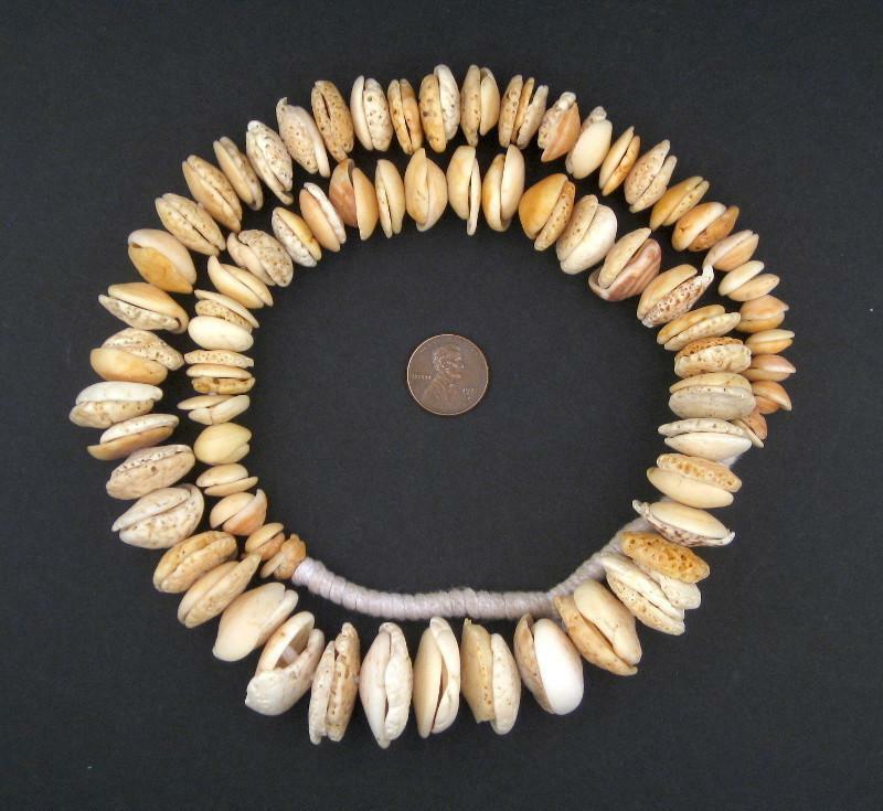 Antique Mauritanian Conus Shell Beads Graduated 18mm African White Unusual