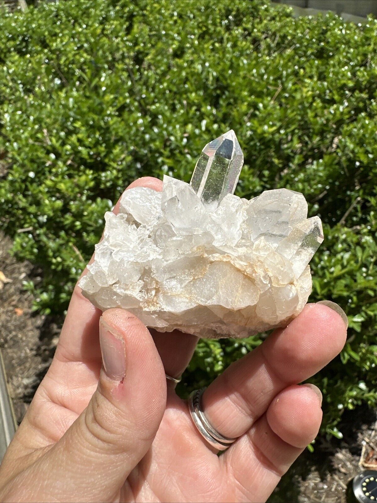 Gorgeous, Unique, Arkansas, Quartz Crystal Cluster