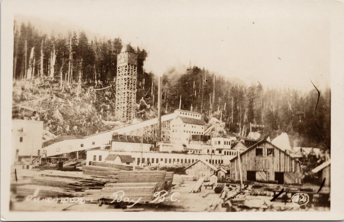 Swanson Bay BC Pulp Mill Ghost Town British Columbia Unused RPPC Postcard H50