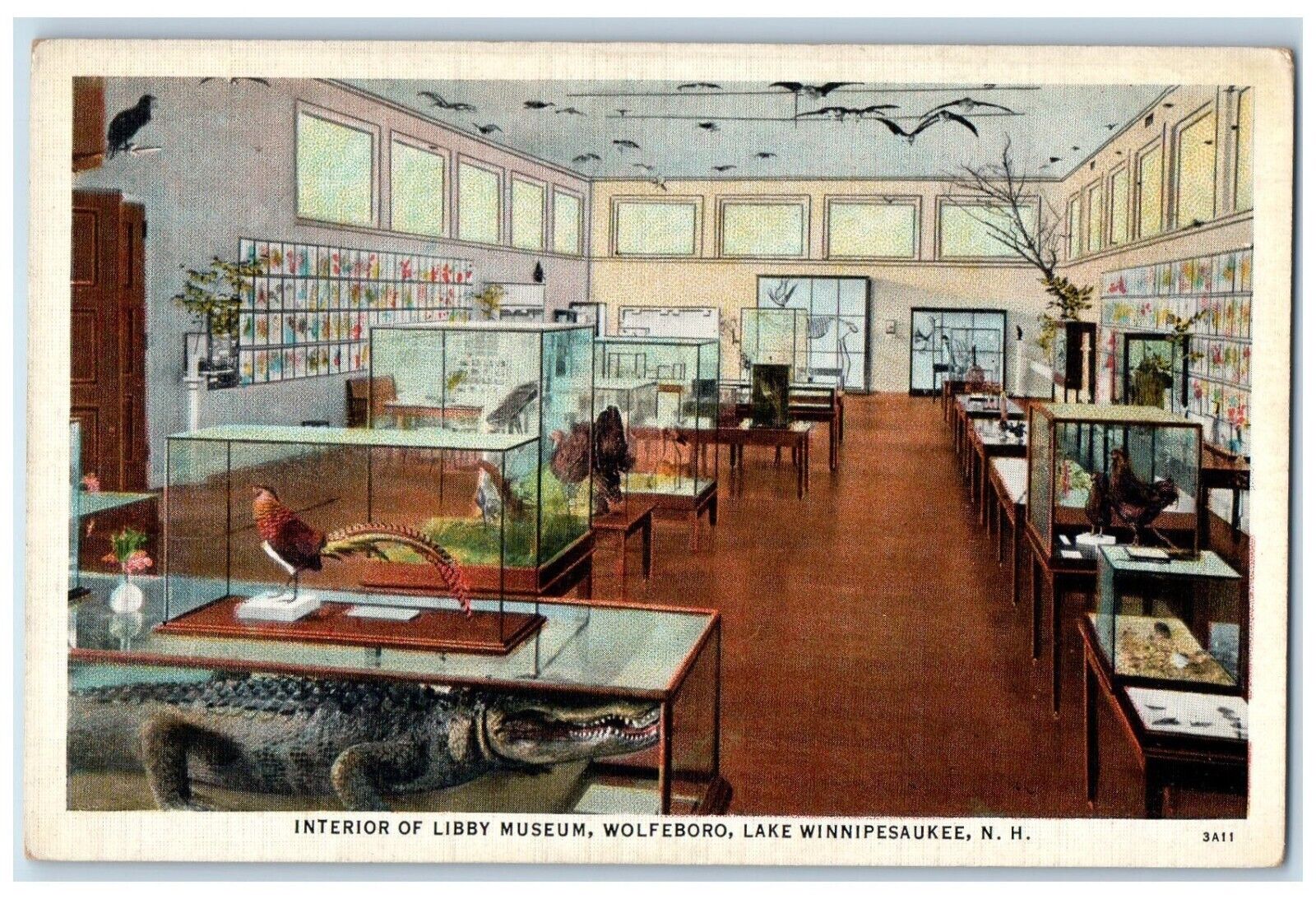 c1940 Interior Libby Museum Wolfeboro Lake Winnipesaukee New Hampshire Postcard