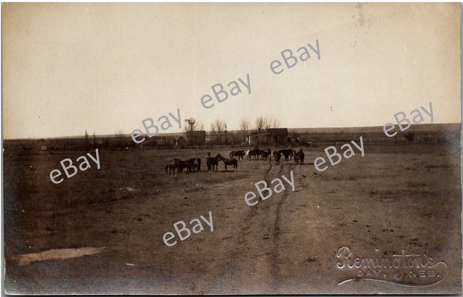 Postcard NE Day, Nebraska;  Ghost Town; Early Ranch, Deuel County RPPC Ai